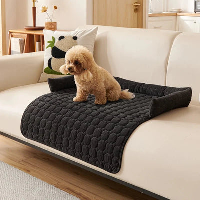https://cdn.shopify.com/s/files/1/0647/9170/7830/files/protege-canape-pour-chien-5967018.webp?v=1777923253