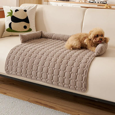 https://cdn.shopify.com/s/files/1/0647/9170/7830/files/protege-canape-pour-chien-6121231.webp?v=1777923253