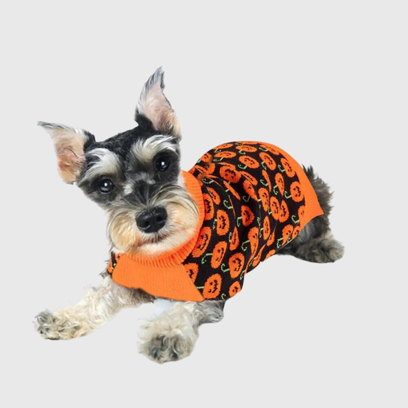 https://cdn.shopify.com/s/files/1/0763/9767/4819/files/pull_Halloween_pour_chien.png?v=1697559023