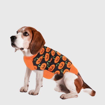 https://cdn.shopify.com/s/files/1/0763/9767/4819/files/pull_Halloween_pour_chien_chien_de_chasse.png?v=1697559023