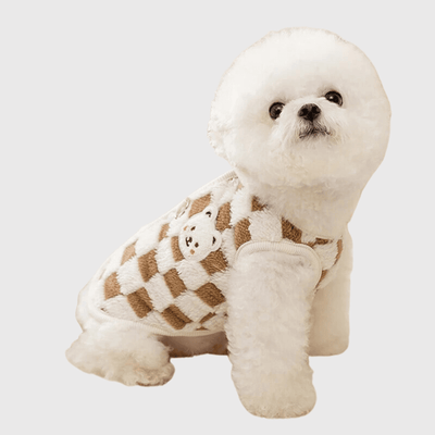 https://cdn.shopify.com/s/files/1/0763/9767/4819/files/pull_chaud_pour_chien_modele_canin.png?v=1752235354