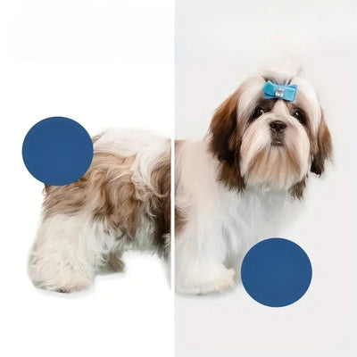 https://cdn.shopify.com/s/files/1/0647/9170/7830/files/pulseur-3en1-pour-chien-4275470.jpg?v=1777925589