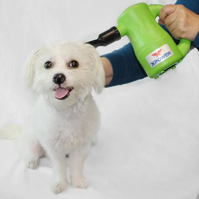 https://cdn.shopify.com/s/files/1/0647/9170/7830/files/pulseur-a-chien-6276342.webp?v=1777924507