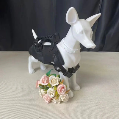 https://cdn.shopify.com/s/files/1/0647/9170/7830/files/sac-a-dos-pour-chien-10kg-9368932.webp?v=1777923255