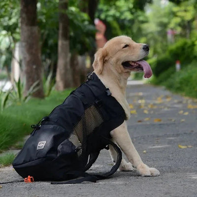 https://cdn.shopify.com/s/files/1/0647/9170/7830/files/sac-a-dos-pour-chien-15-kg-3427996.webp?v=1777923134