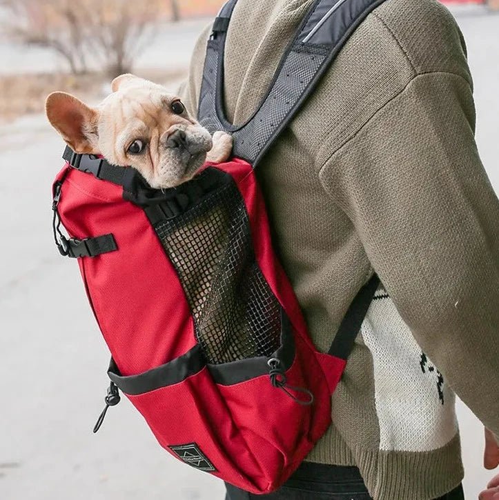 https://cdn.shopify.com/s/files/1/0647/9170/7830/files/sac-a-dos-pour-chien-15-kg-4955515.webp?v=1777923135
