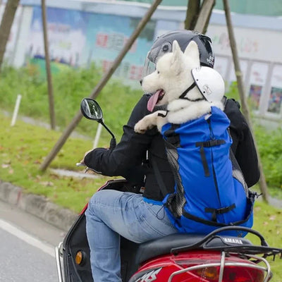 https://cdn.shopify.com/s/files/1/0647/9170/7830/files/sac-a-dos-pour-chien-15-kg-6861656.webp?v=1777923134