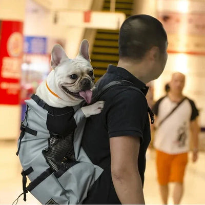 https://cdn.shopify.com/s/files/1/0647/9170/7830/files/sac-a-dos-pour-chien-15-kg-7987000.webp?v=1777923134