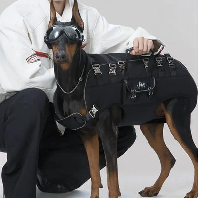 https://cdn.shopify.com/s/files/1/0647/9170/7830/files/sac-a-dos-pour-chien-20-kg-7686351.webp?v=1777923194