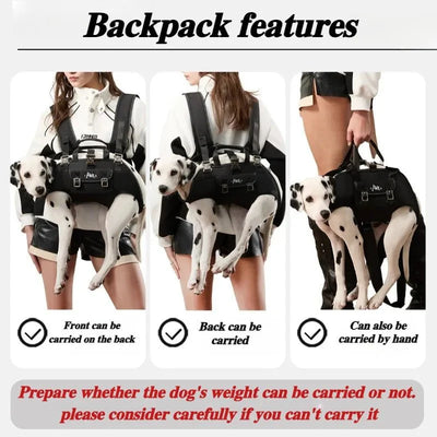 https://cdn.shopify.com/s/files/1/0647/9170/7830/files/sac-a-dos-pour-chien-20-kg-7734558.webp?v=1777923196