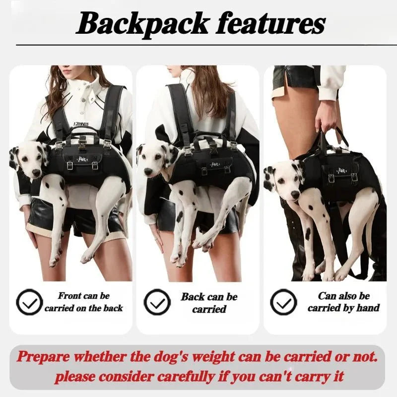 https://cdn.shopify.com/s/files/1/0647/9170/7830/files/sac-a-dos-pour-chien-20-kg-7686351.webp?v=1777923194