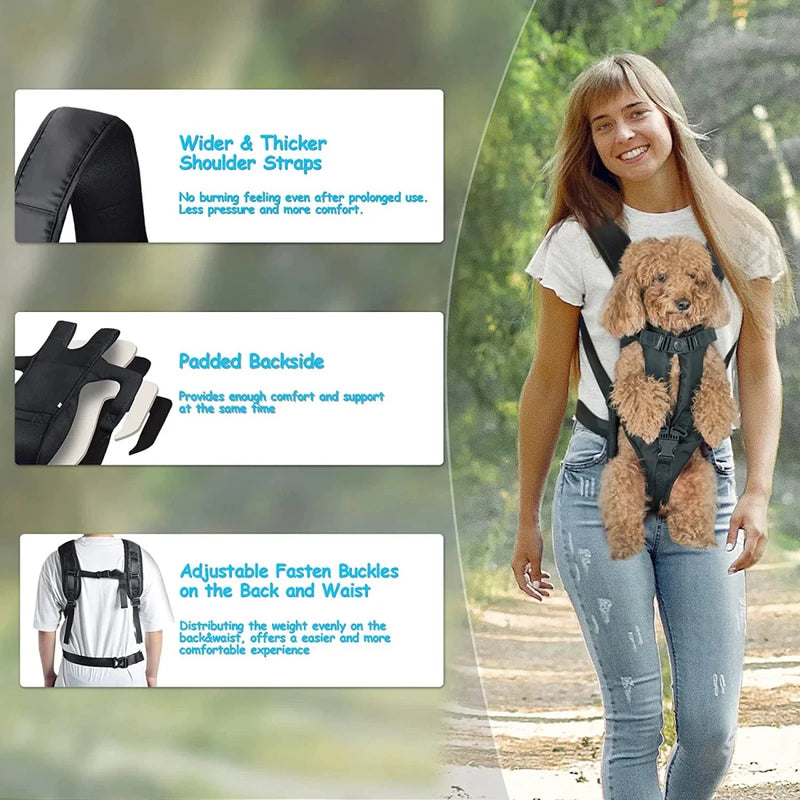 https://cdn.shopify.com/s/files/1/0647/9170/7830/files/sac-de-transport-pour-chien-5-kg-8645969.webp?v=1777923191
