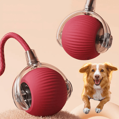 https://cdn.shopify.com/s/files/1/0489/2898/1148/files/spielballhund_7ff8ef1e-02cf-4008-880a-23a8928d97d7.png?v=1744538045