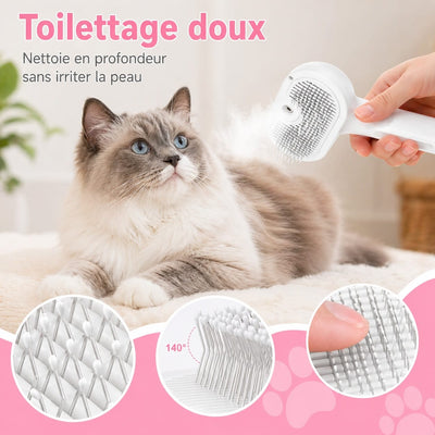 https://cdn.shopify.com/s/files/1/0489/2898/1148/files/steam4.jpg?v=1777117096