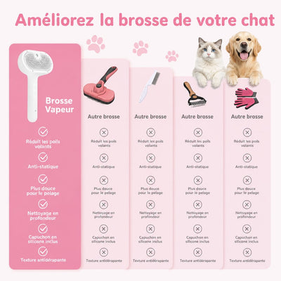 https://cdn.shopify.com/s/files/1/0489/2898/1148/files/steam5.jpg?v=1777117002