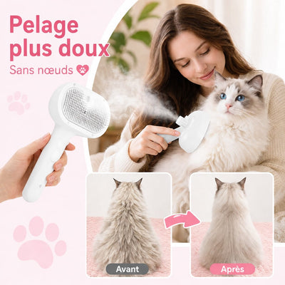 https://cdn.shopify.com/s/files/1/0489/2898/1148/files/steam7.jpg?v=1777117124