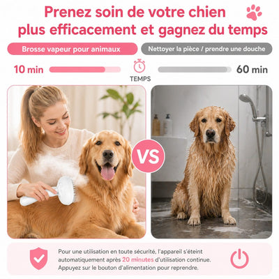 https://cdn.shopify.com/s/files/1/0489/2898/1148/files/steam8.jpg?v=1777117062