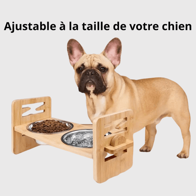 https://cdn.shopify.com/s/files/1/0763/9767/4819/files/support_gamelle_pour_chien_boueldogue.png?v=1749140891