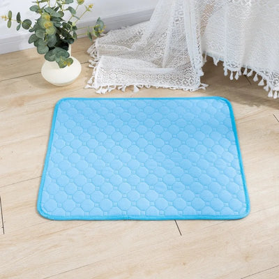 https://cdn.shopify.com/s/files/1/0647/9170/7830/files/tapis-absorbant-et-reutilisable-pour-animaux-6616597.webp?v=1777924938