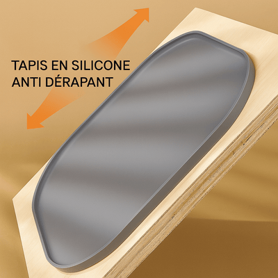 https://cdn.shopify.com/s/files/1/0647/9170/7830/files/tapis-absorbant-gamelle-chien-4036278.png?v=1777924934