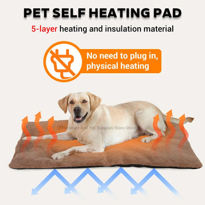 https://cdn.shopify.com/s/files/1/0647/9170/7830/files/tapis-antiderapant-chien-2034079.webp?v=1777923428
