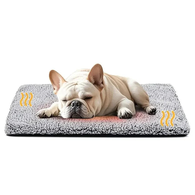https://cdn.shopify.com/s/files/1/0647/9170/7830/files/tapis-chauffant-chien-exterieur-1488111.webp?v=1777924027