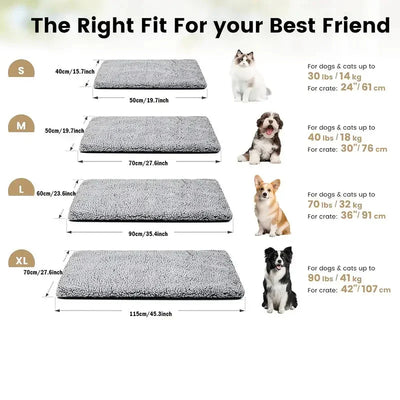 https://cdn.shopify.com/s/files/1/0647/9170/7830/files/tapis-chauffant-chien-exterieur-1579113.webp?v=1777924027