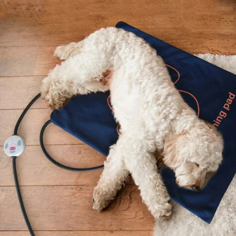 https://cdn.shopify.com/s/files/1/0647/9170/7830/files/tapis-chauffant-electrique-pour-chien-9762302.webp?v=1777925530