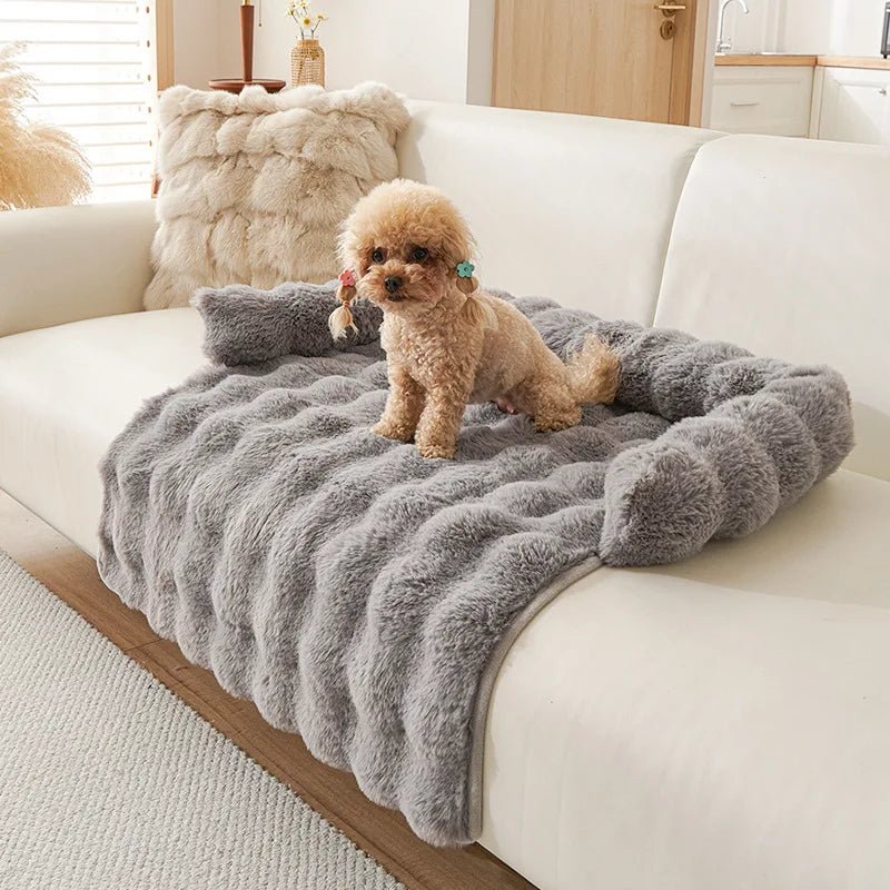 https://cdn.shopify.com/s/files/1/0647/9170/7830/files/tapis-chien-anti-poils-1625946.webp?v=1777923610