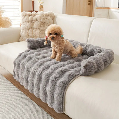 https://cdn.shopify.com/s/files/1/0647/9170/7830/files/tapis-chien-anti-poils-1625946.webp?v=1777923610
