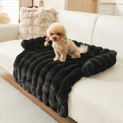 https://cdn.shopify.com/s/files/1/0647/9170/7830/files/tapis-chien-anti-poils-5796125.webp?v=1777923609