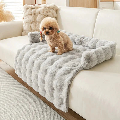 https://cdn.shopify.com/s/files/1/0647/9170/7830/files/tapis-chien-anti-poils-7552309.webp?v=1777923610