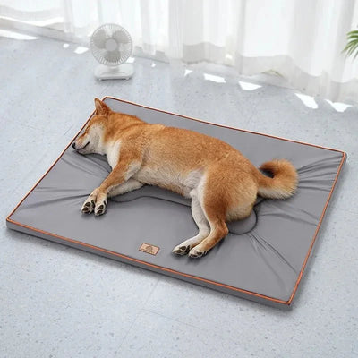 https://cdn.shopify.com/s/files/1/0647/9170/7830/files/tapis-chien-exterieur-3022463.webp?v=1777923069