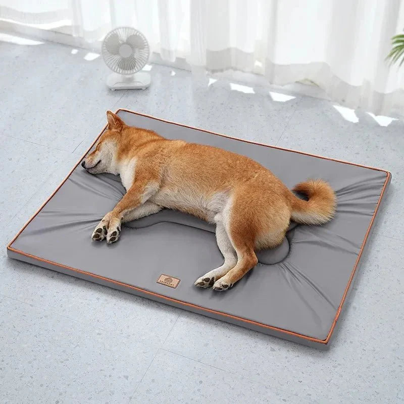 https://cdn.shopify.com/s/files/1/0647/9170/7830/files/tapis-chien-exterieur-4900743.webp?v=1777923070
