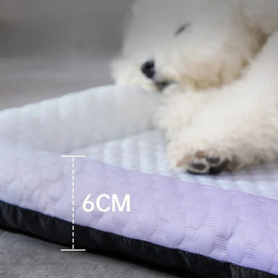 https://cdn.shopify.com/s/files/1/0647/9170/7830/files/tapis-chien-rafraichissant-colore-2681749.webp?v=1777924815