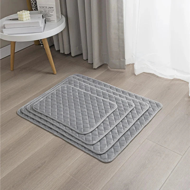 Accessoire pour gros chien