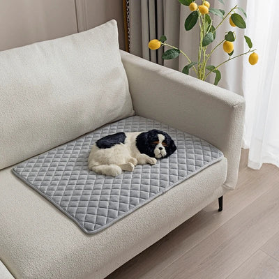https://cdn.shopify.com/s/files/1/0647/9170/7830/files/tapis-de-protection-contre-fuite-urinaire-4289120.webp?v=1777924753