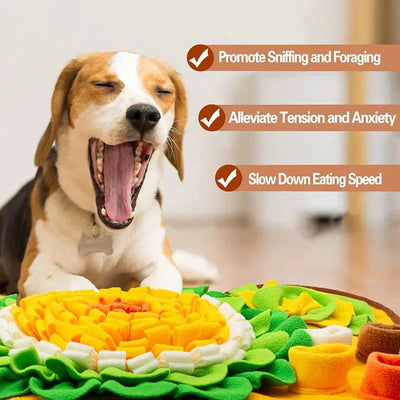 https://cdn.shopify.com/s/files/1/0647/9170/7830/files/tapis-de-recherche-chien-1007328.webp?v=1777923492