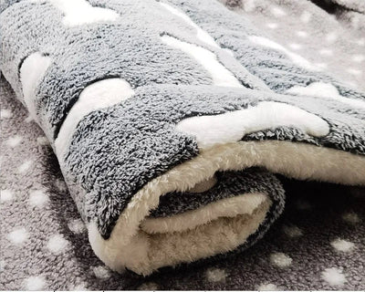 https://cdn.shopify.com/s/files/1/0647/9170/7830/files/tapis-de-sol-chien-4718735.webp?v=1777923191