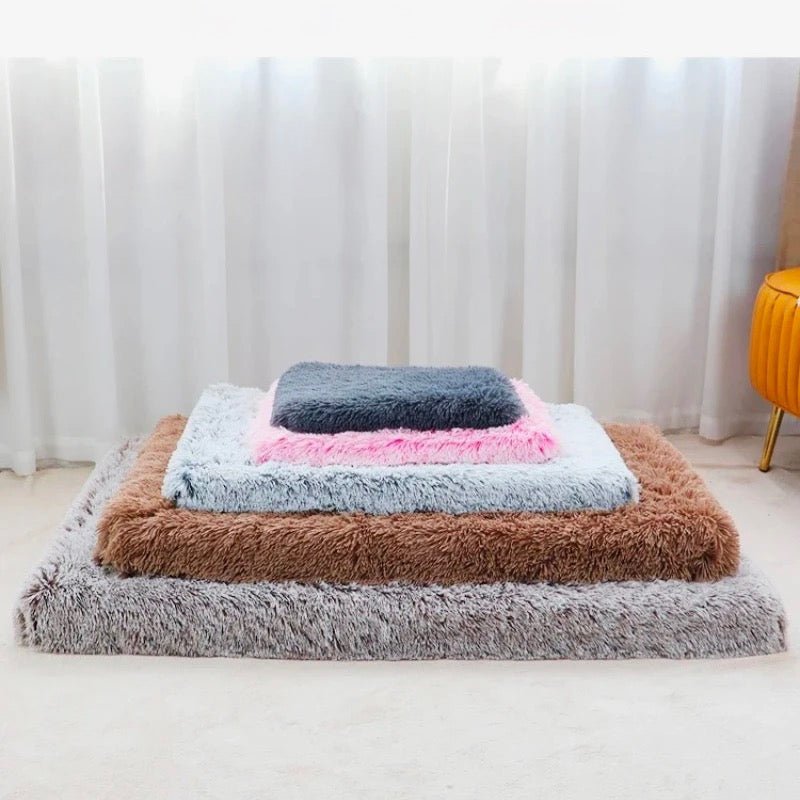 https://cdn.shopify.com/s/files/1/0647/9170/7830/files/tapis-dehoussable-pour-chien-4553531.webp?v=1777924270