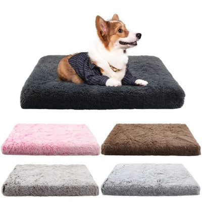 https://cdn.shopify.com/s/files/1/0647/9170/7830/files/tapis-dehoussable-pour-chien-8936326.webp?v=1777924271