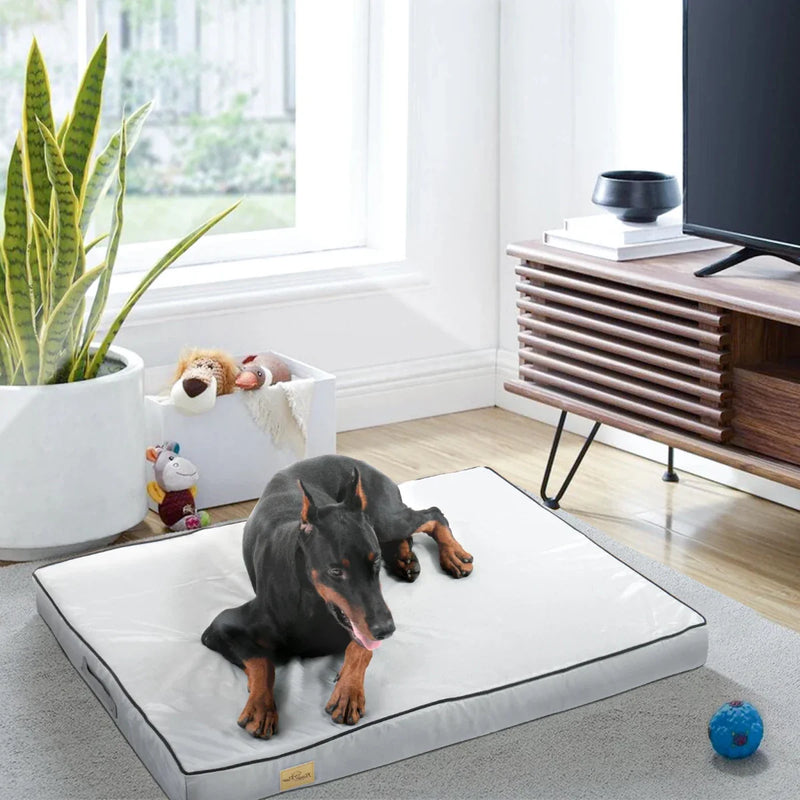 https://cdn.shopify.com/s/files/1/0647/9170/7830/files/tapis-epais-water-proof-pour-grand-chien-2416129.webp?v=1777924513