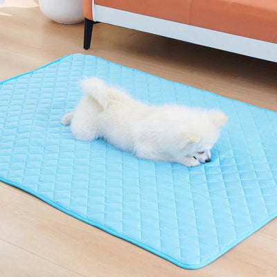 https://cdn.shopify.com/s/files/1/0647/9170/7830/files/tapis-froid-pour-chien-1698860.webp?v=1777923373