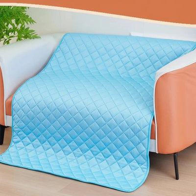 https://cdn.shopify.com/s/files/1/0647/9170/7830/files/tapis-froid-pour-chien-2057832.webp?v=1777923372