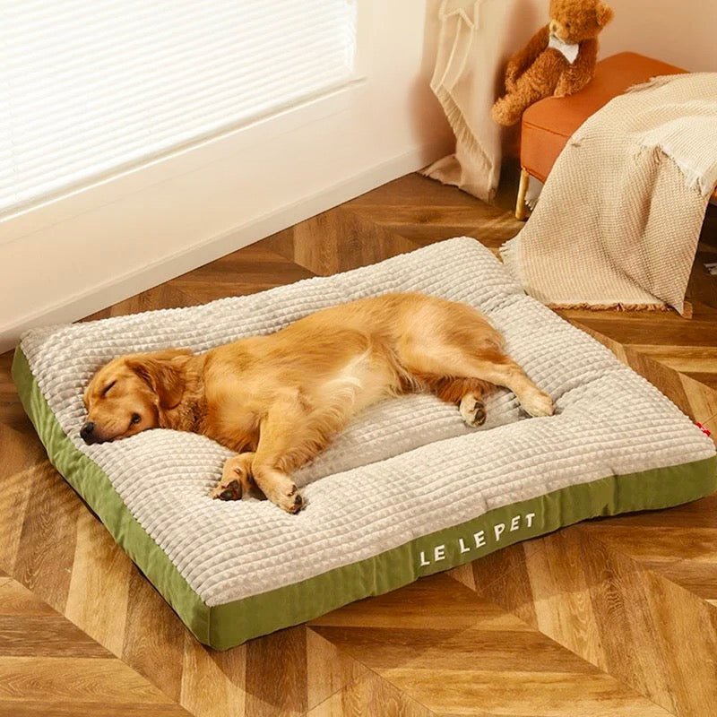 https://cdn.shopify.com/s/files/1/0647/9170/7830/files/tapis-lavable-pour-chien-9461106.jpg?v=1777924751