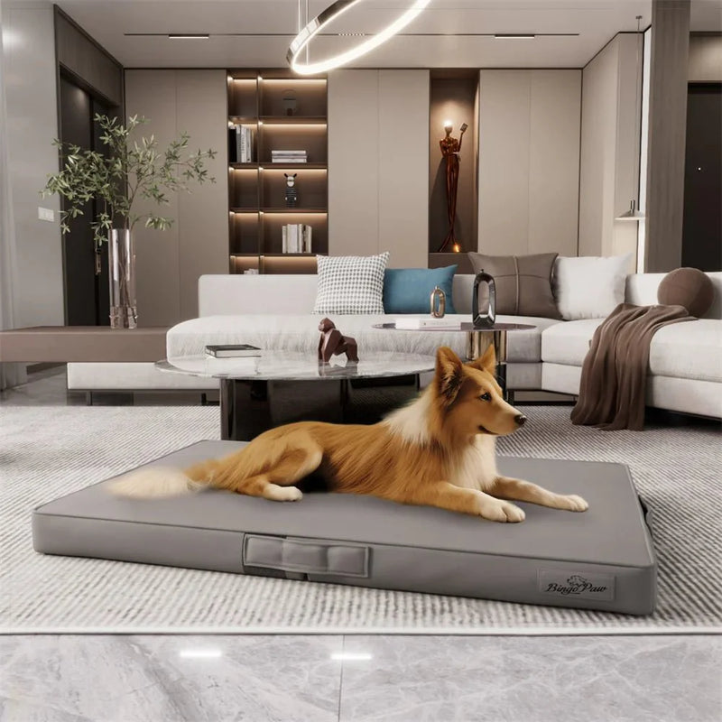 https://cdn.shopify.com/s/files/1/0647/9170/7830/files/tapis-luxueux-pour-chien-5243940.webp?v=1777924692