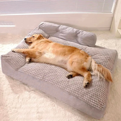 https://cdn.shopify.com/s/files/1/0647/9170/7830/files/tapis-moelleux-et-confortable-pour-chien-4240921.jpg?v=1777924811