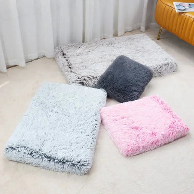 https://cdn.shopify.com/s/files/1/0647/9170/7830/files/tapis-moelleux-et-durable-pour-chien-5644496.webp?v=1777924749