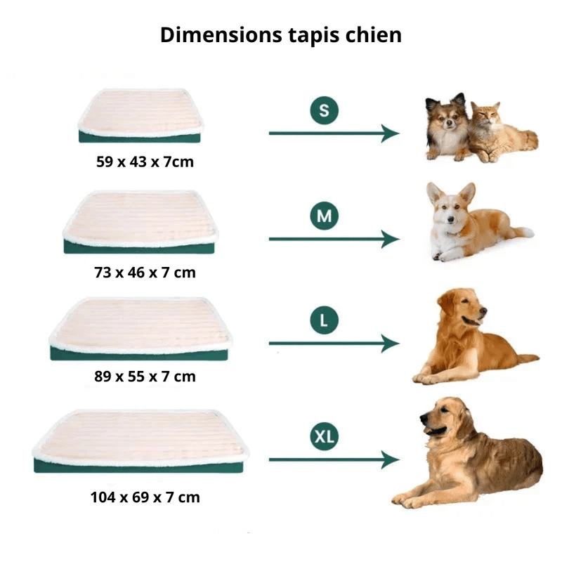https://cdn.shopify.com/s/files/1/0647/9170/7830/files/tapis-moelleux-pour-grand-chien-6168638.webp?v=1777924927