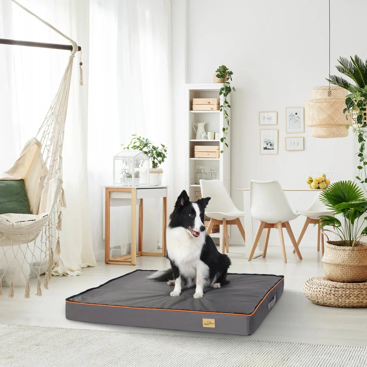 https://cdn.shopify.com/s/files/1/0647/9170/7830/files/tapis-orthopedique-multi-saison-pour-chien-7777047.webp?v=1777924751